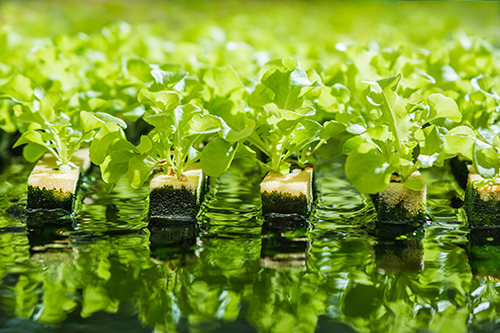 チタン特有の魅力である浄化効果のイメージ画像